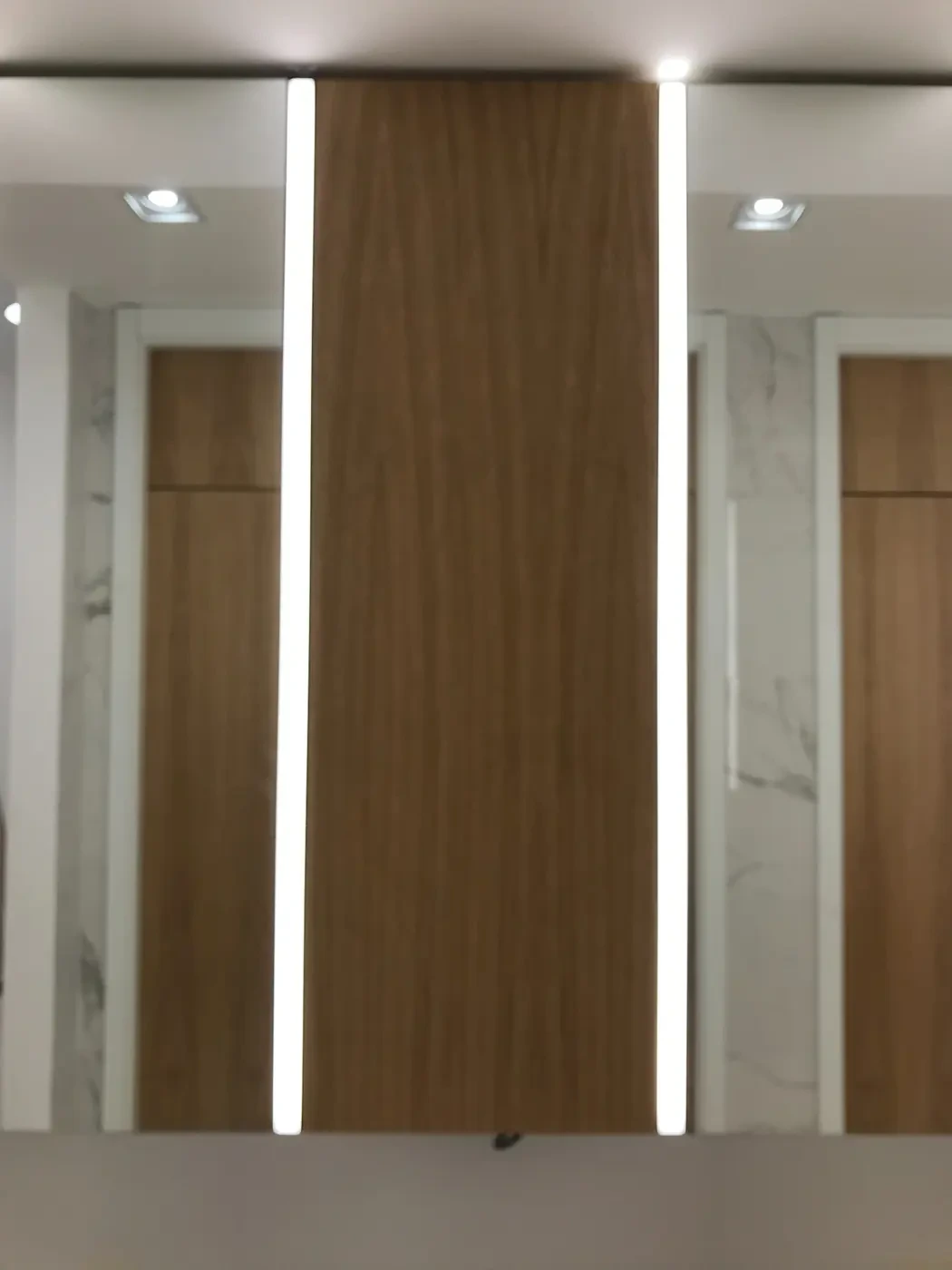 Vertikalne LED linije uz hrastov panel u enterijeru javnog toaleta